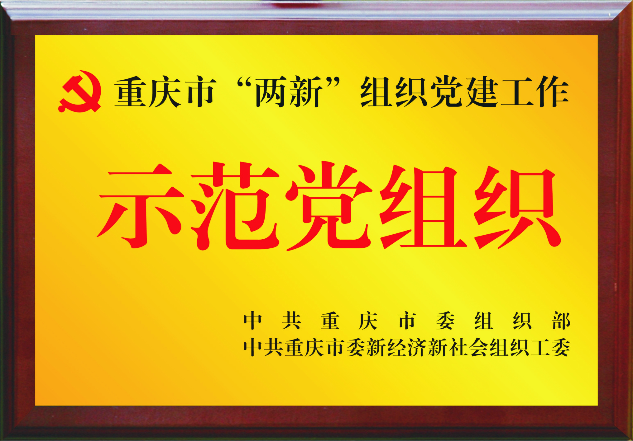 示范党组织