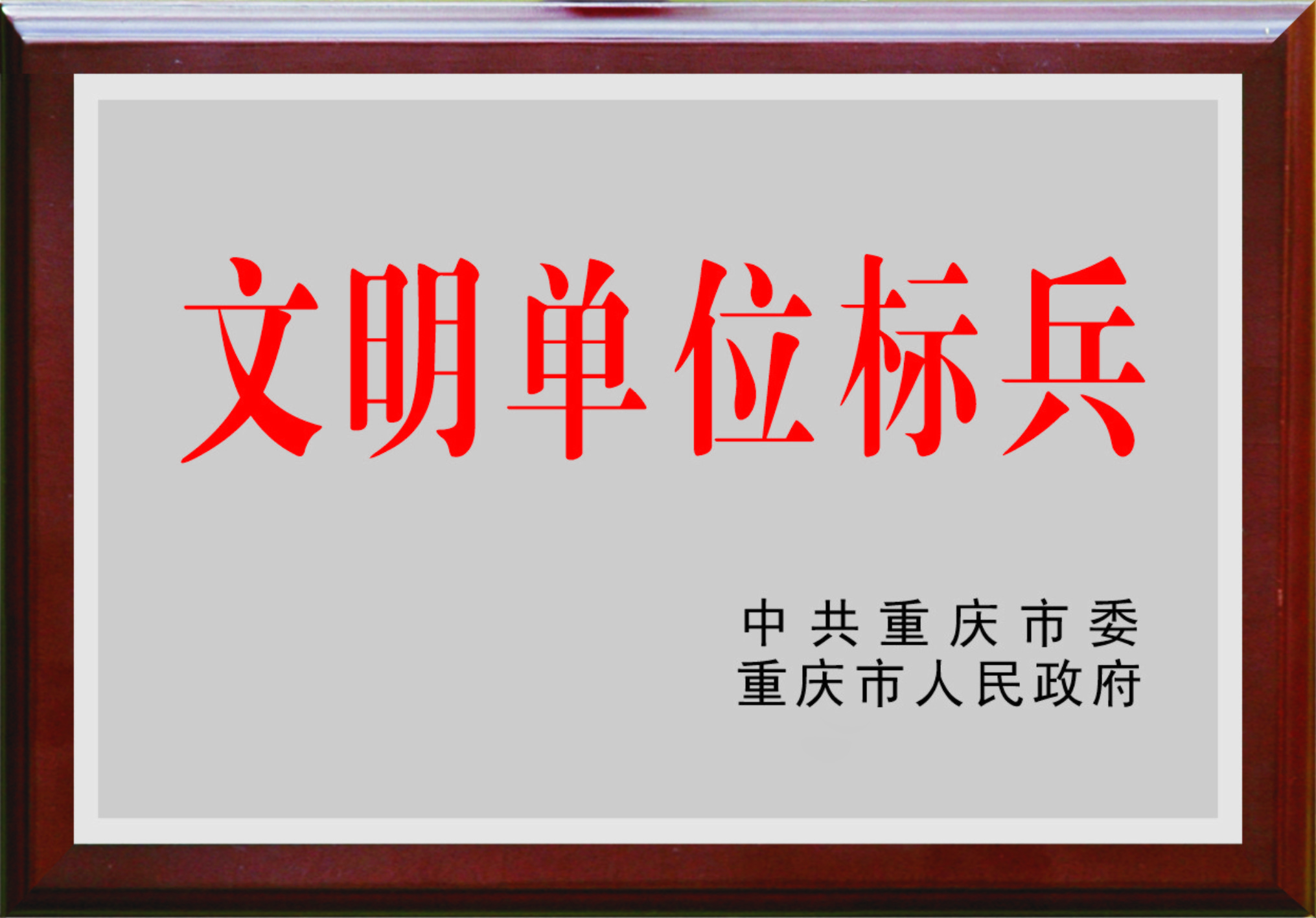 文明单位标兵